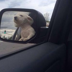 Meet your Posher, Angie